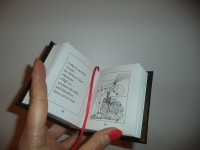 Miniaturbuch